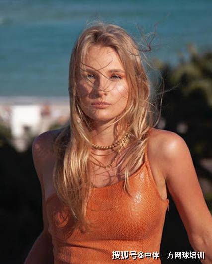 斯维亚特克 斯维亚特克